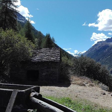Case Gran Paradiso Rhemes Saint Georges Zewnętrze zdjęcie