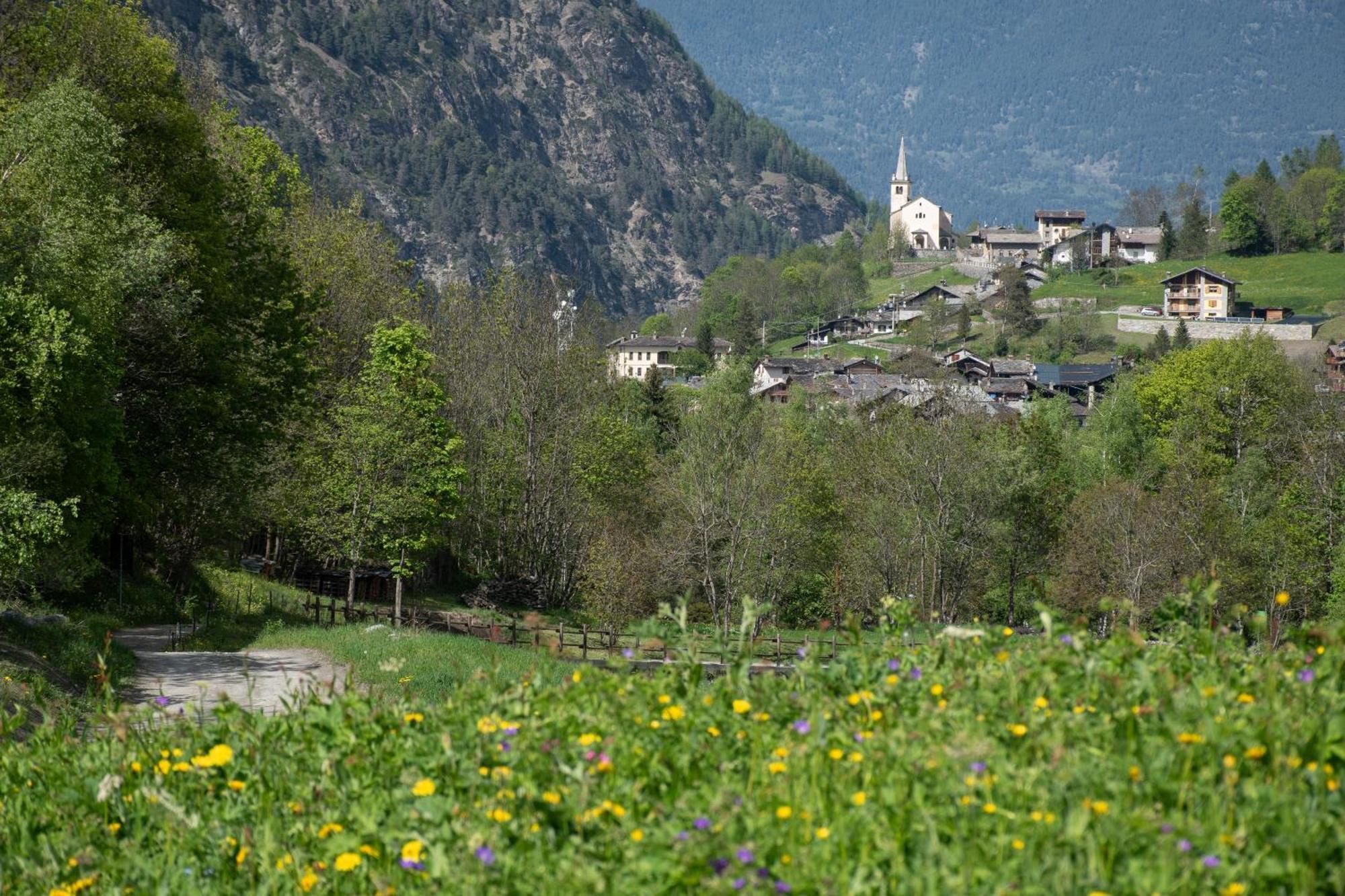 Case Gran Paradiso Rhemes Saint Georges Zewnętrze zdjęcie